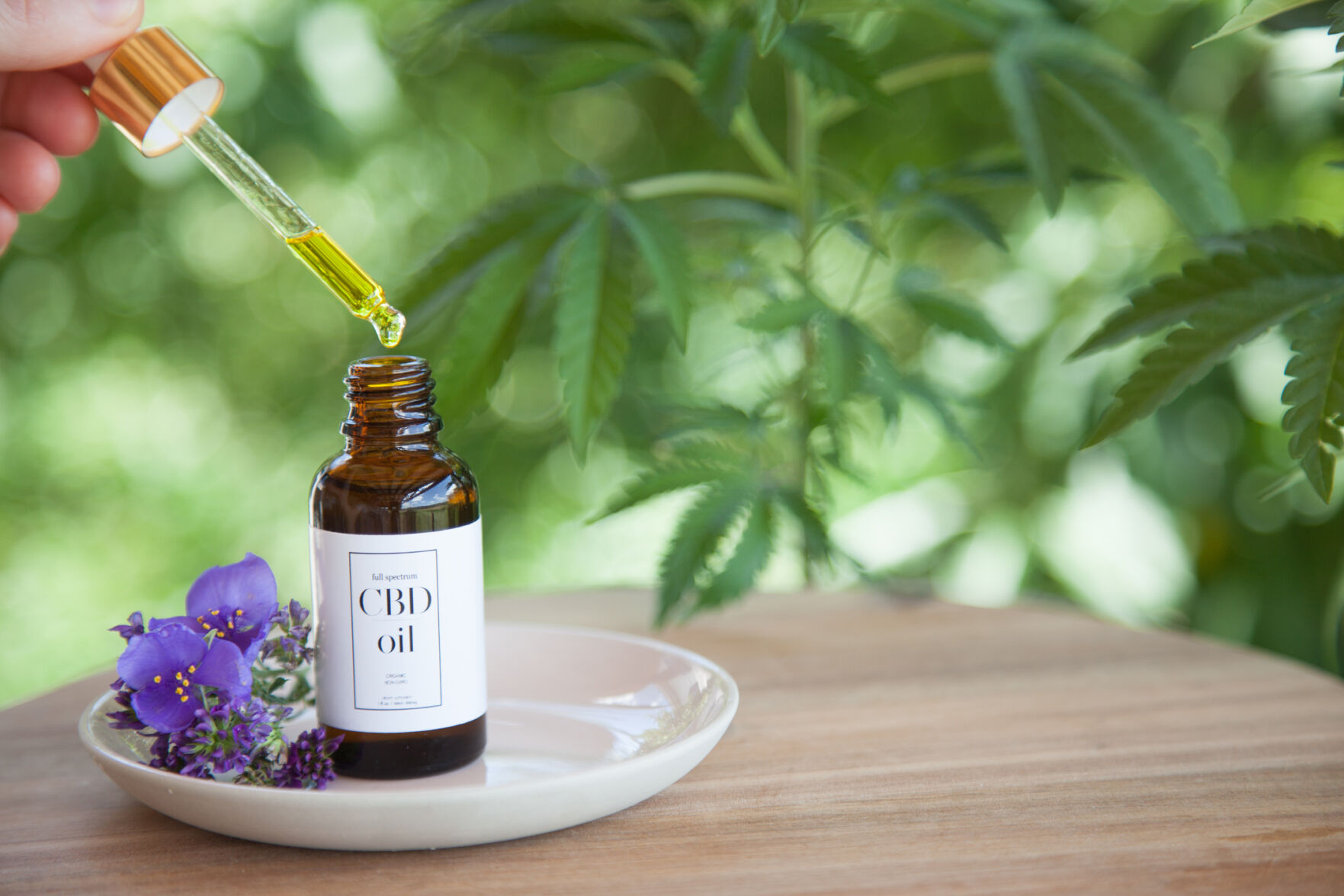 CBD Cannabis Oil (cannabidiol) from bottle on small plate